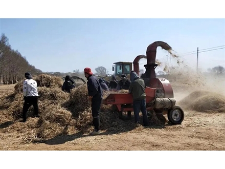 內蒙古大力草場
